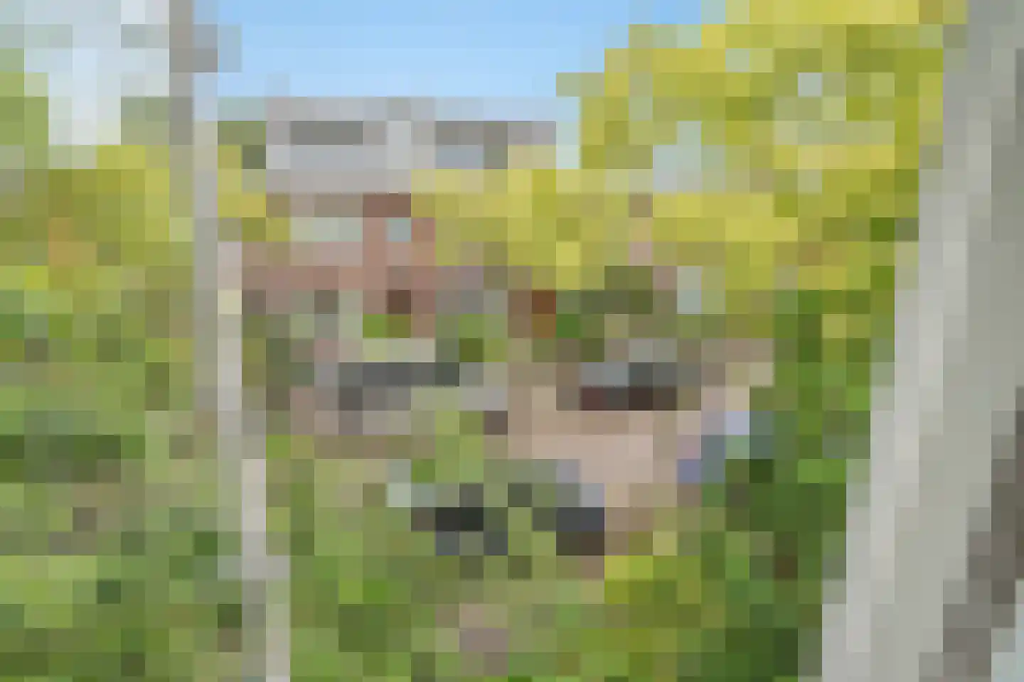Eiklaan 33 Rijswijk thumbnail 29