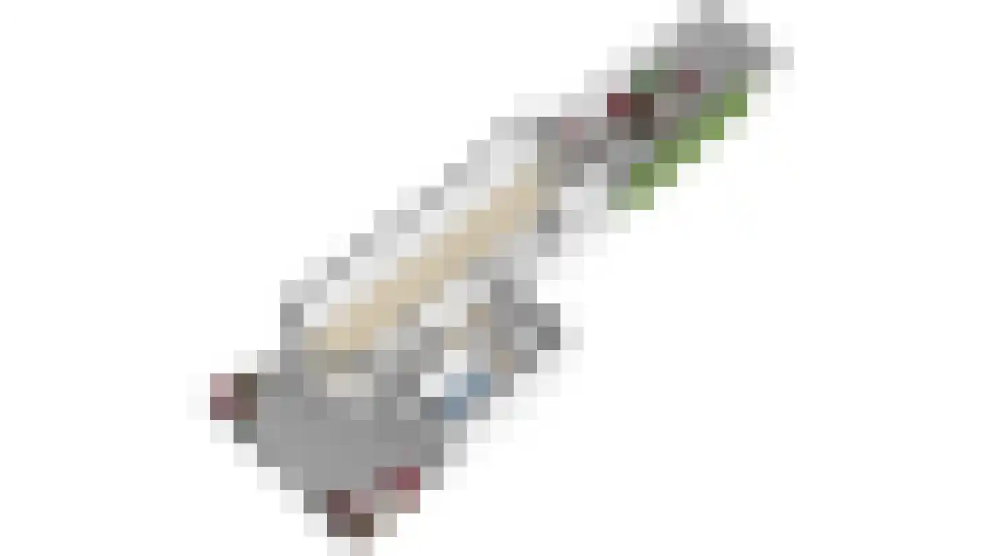 Eiklaan 33 Rijswijk thumbnail 37