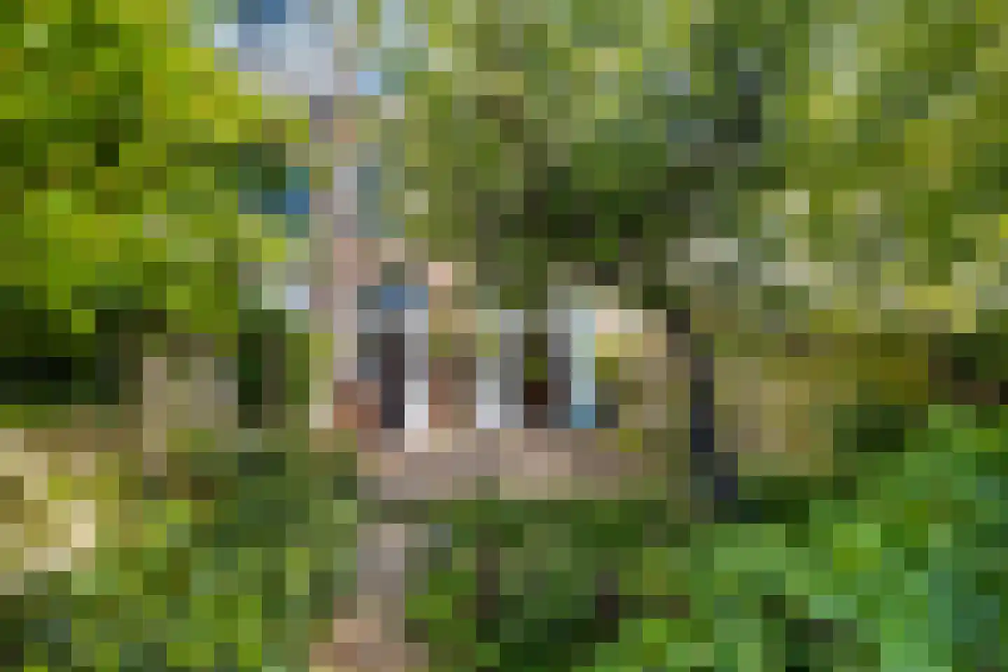 Eiklaan 61 Rijswijk thumbnail 12