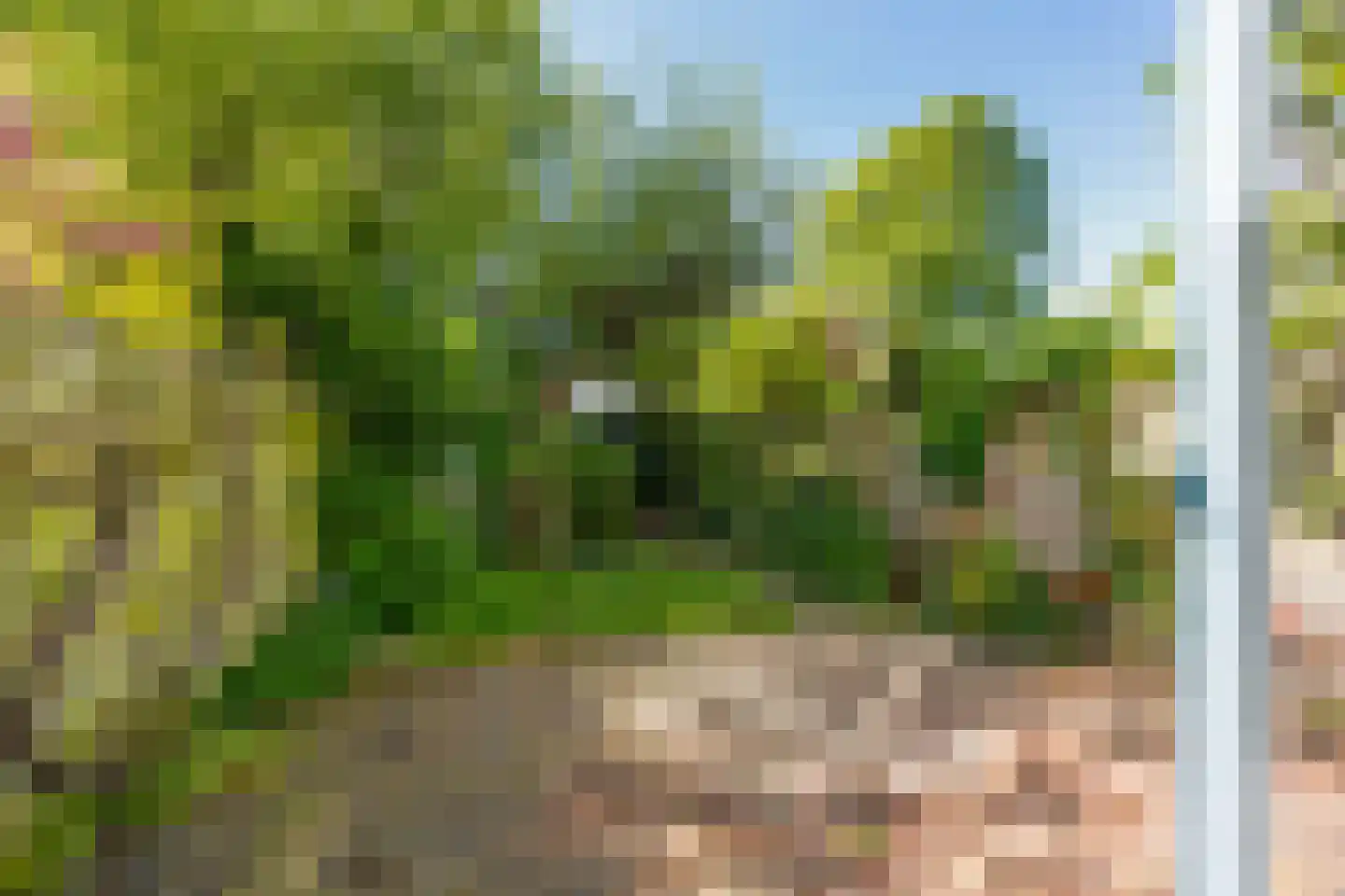 Eiklaan 61 Rijswijk thumbnail 13