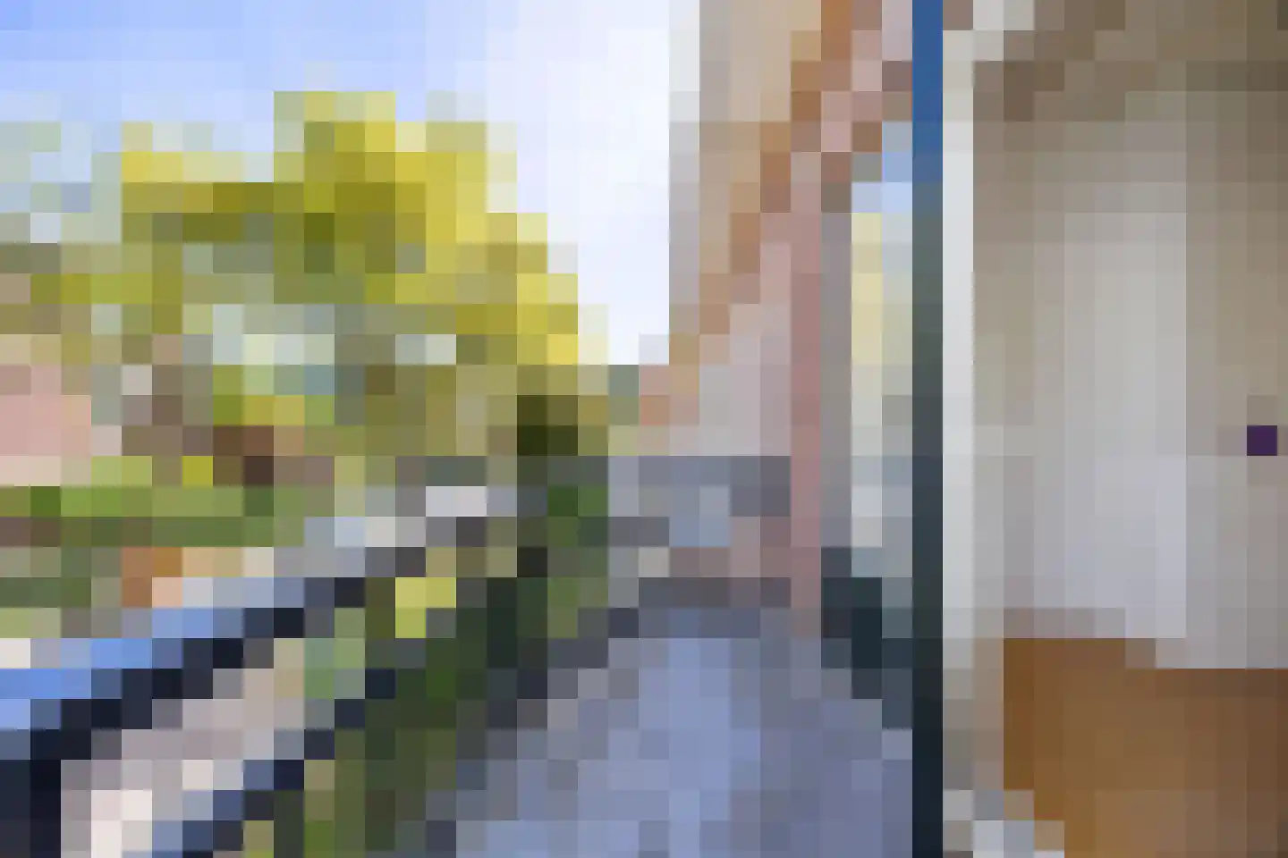 Eiklaan 61 Rijswijk thumbnail 29