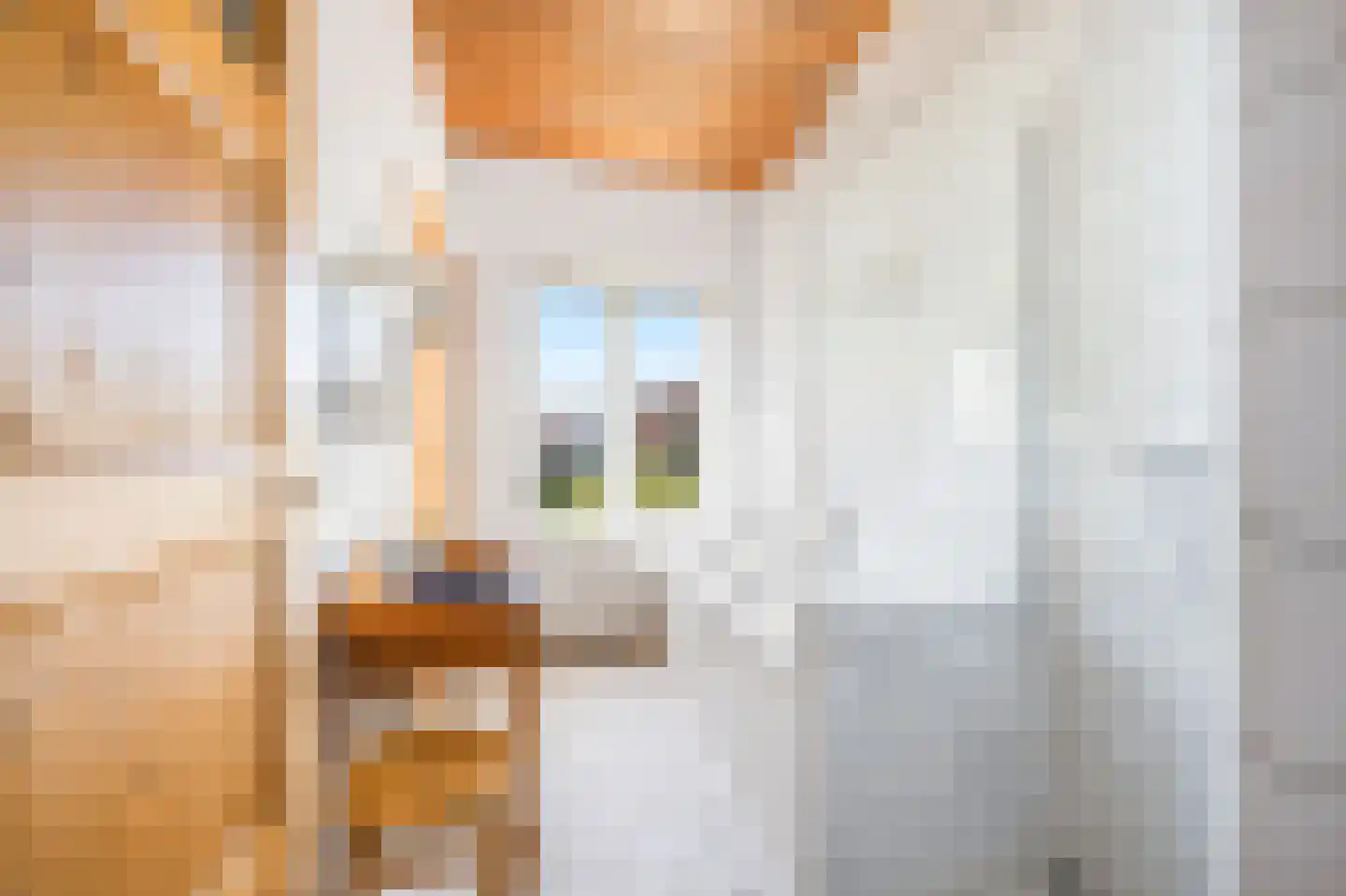 Eiklaan 61 Rijswijk thumbnail 33