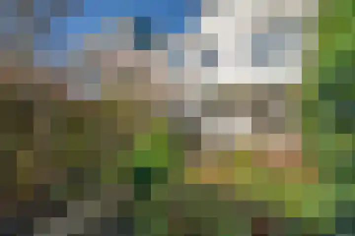 Eiklaan 69 Rijswijk thumbnail 17