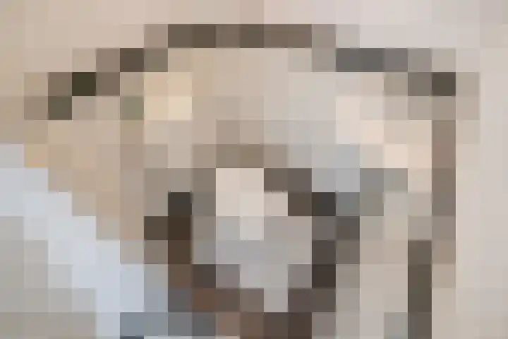 Eiklaan 69 Rijswijk thumbnail 21