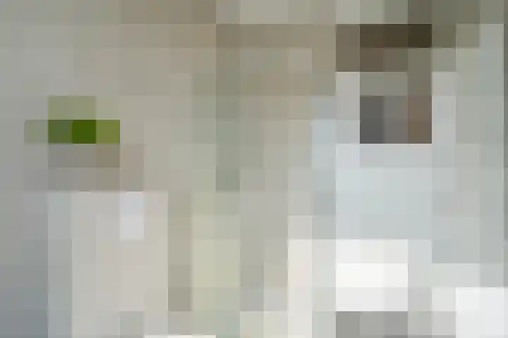 Eiklaan 69 Rijswijk thumbnail 28