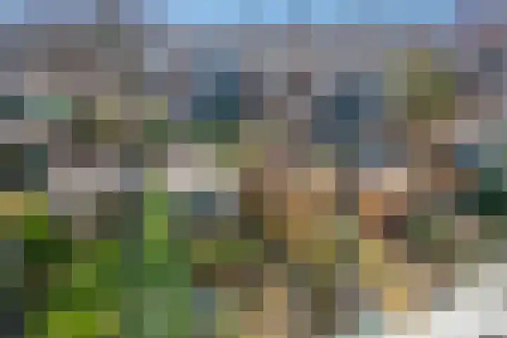 Eiklaan 69 Rijswijk thumbnail 32