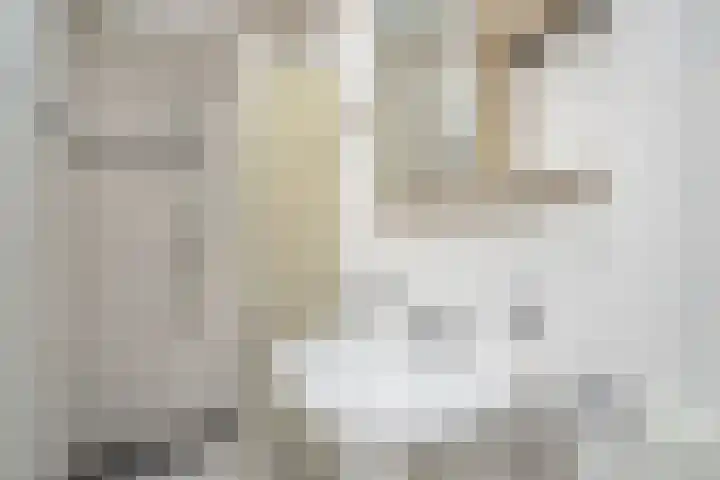 Eiklaan 69 Rijswijk thumbnail 39