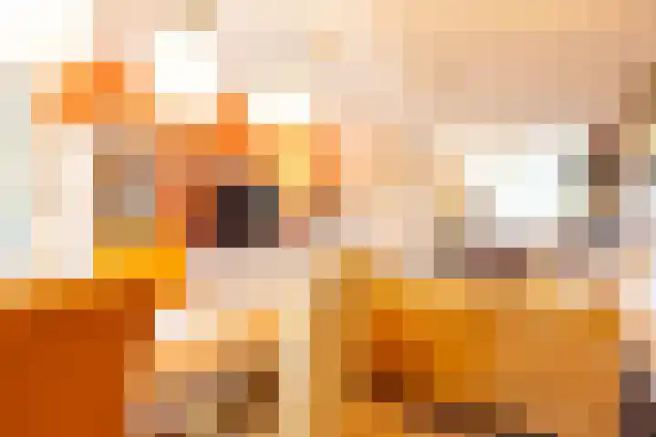 Eikske 1 B Landgraaf thumbnail 11