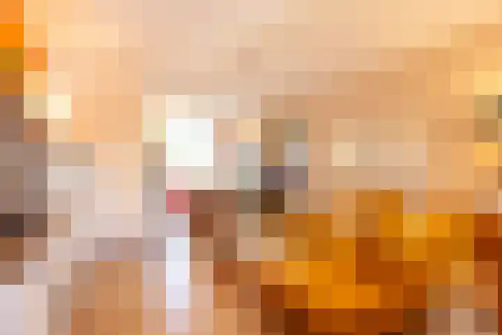 Eikske 1 B Landgraaf thumbnail 12