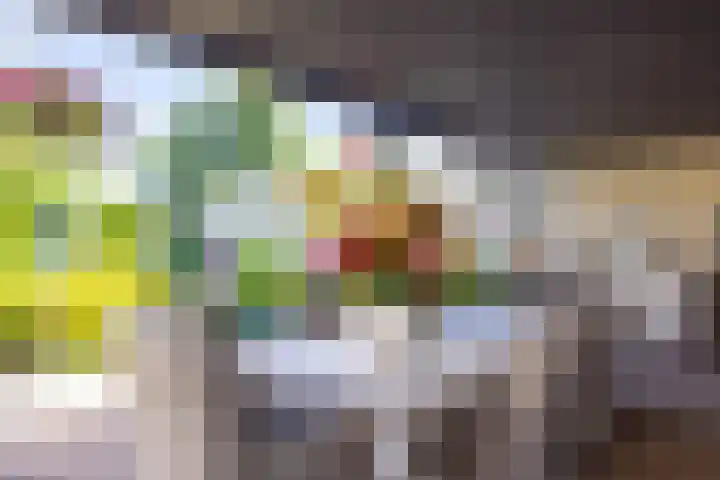 Eikske 1 B Landgraaf thumbnail 35