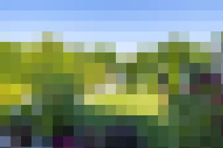 Eikske 1 B Landgraaf thumbnail 38