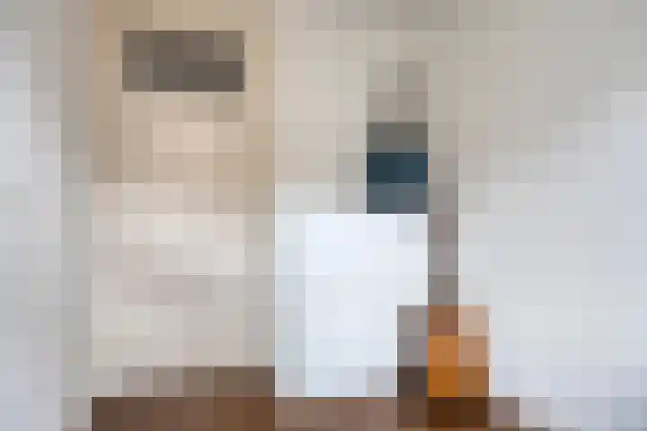 Eikstraat 12 b Tilburg thumbnail 33