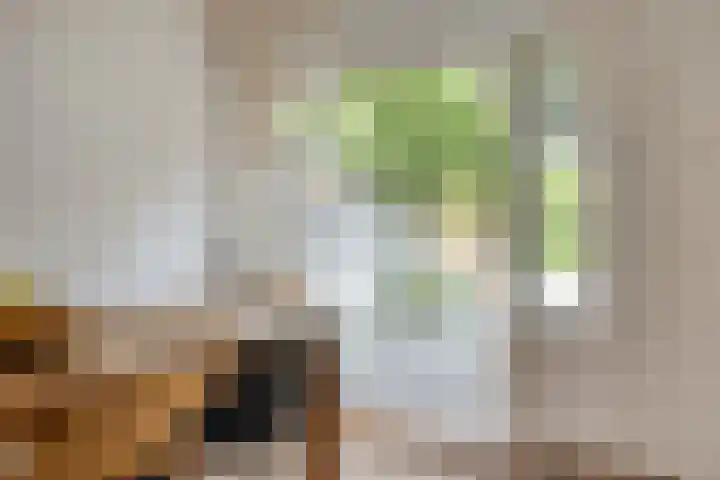 Eikstraat 12 b Tilburg thumbnail 43