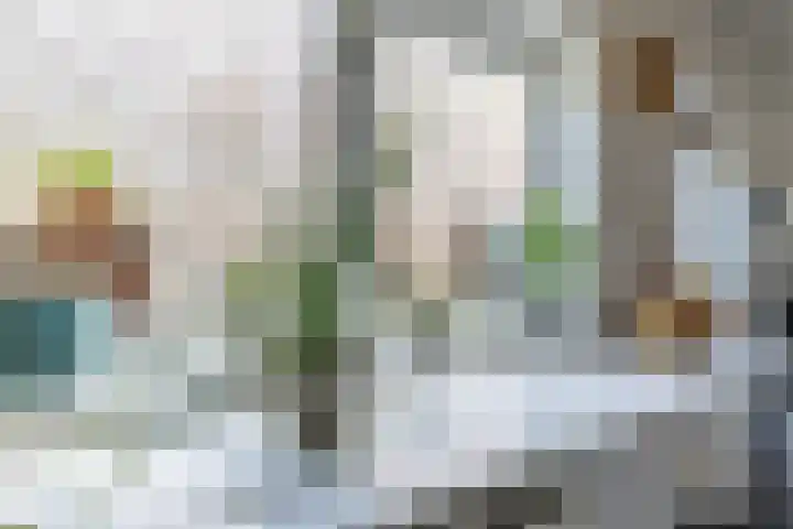 Eikstraat 12 Utrecht thumbnail 19