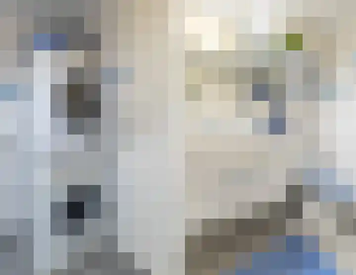 Eikstraat 12 Utrecht thumbnail 33