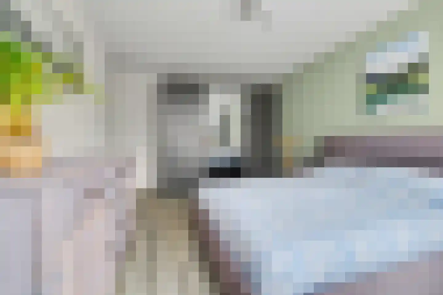 Eikstraat 13 Drunen thumbnail 14
