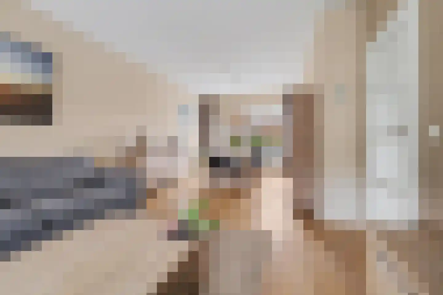 Eikstraat 13 Drunen thumbnail 8