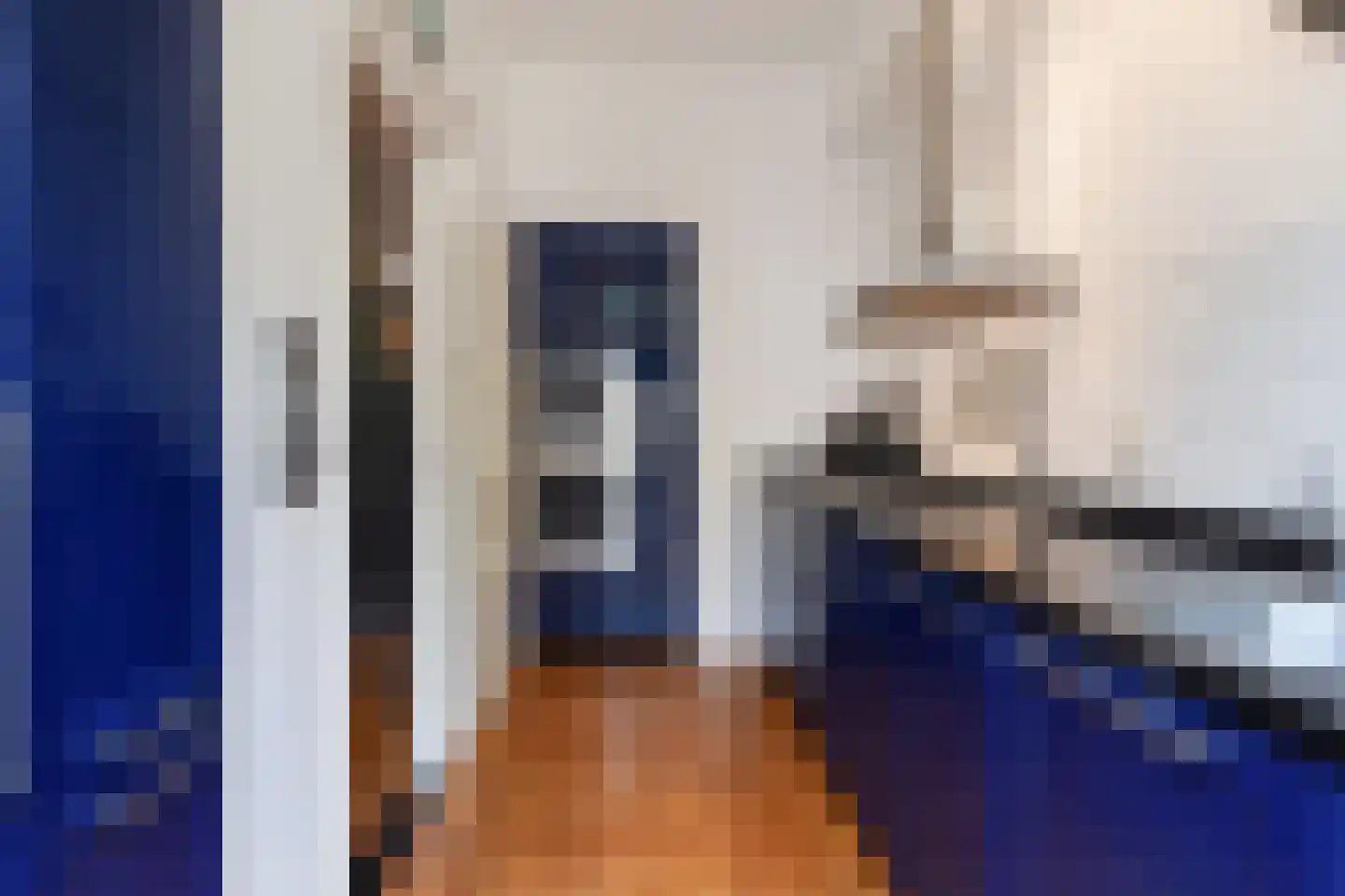 Eikstraat 14 Den Haag thumbnail 19