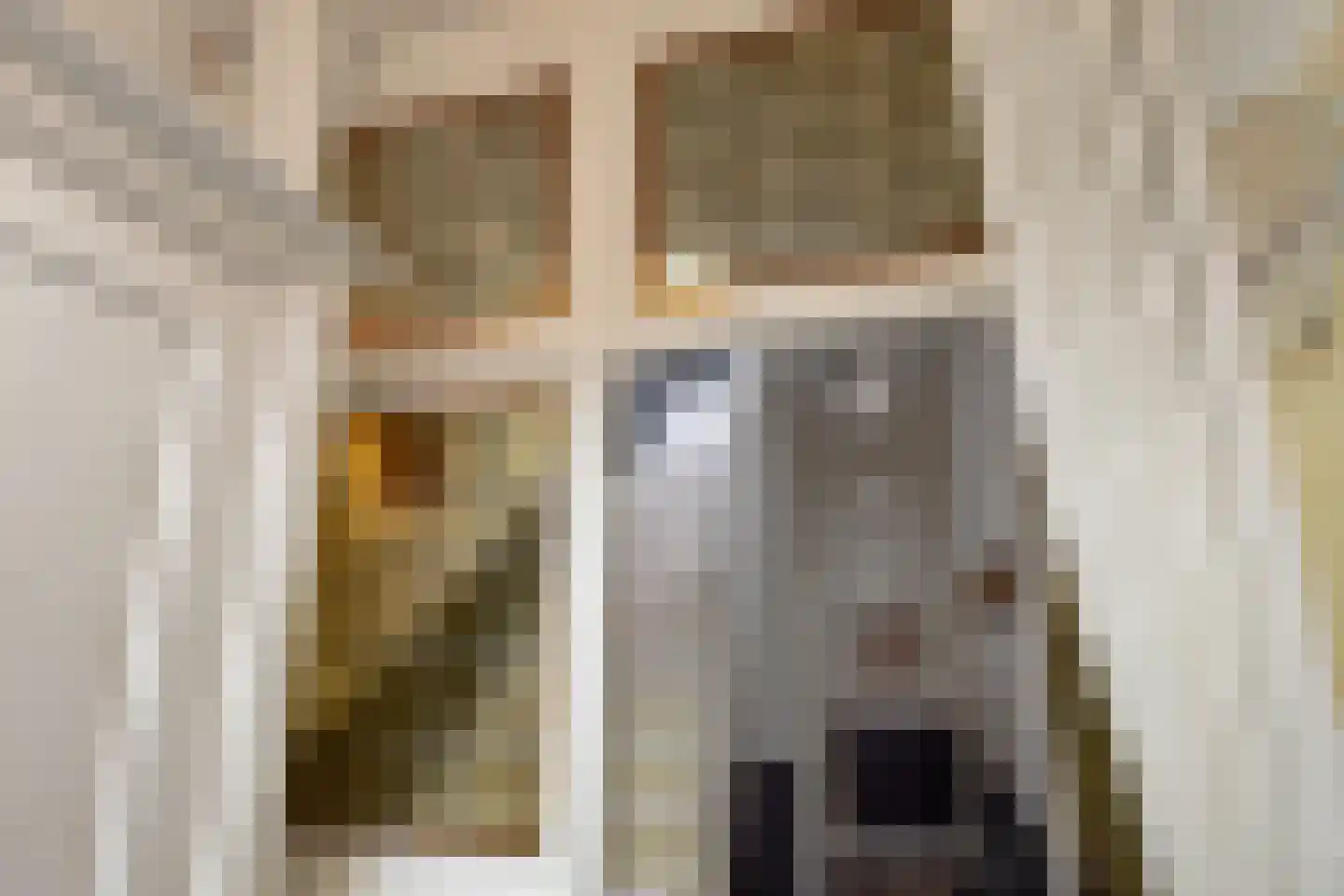 Eikstraat 14 Den Haag thumbnail 6