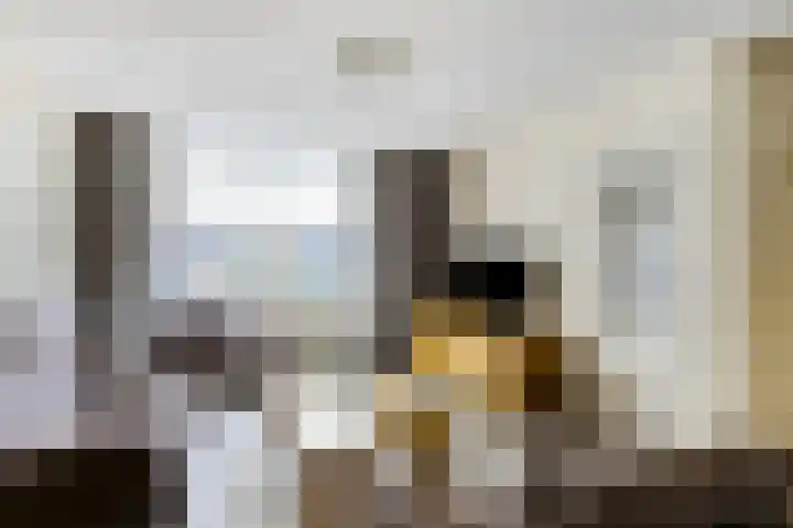Eikstraat 19 Bergen L thumbnail 5