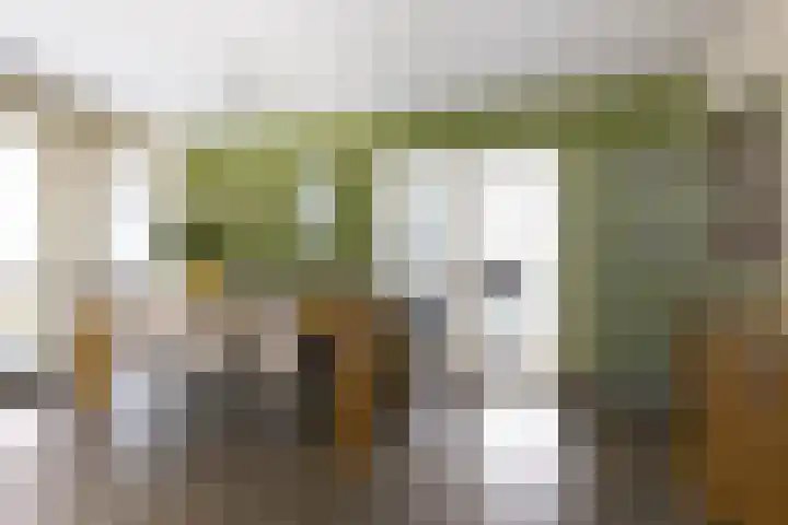 Eikstraat 19 Bergen L thumbnail 7
