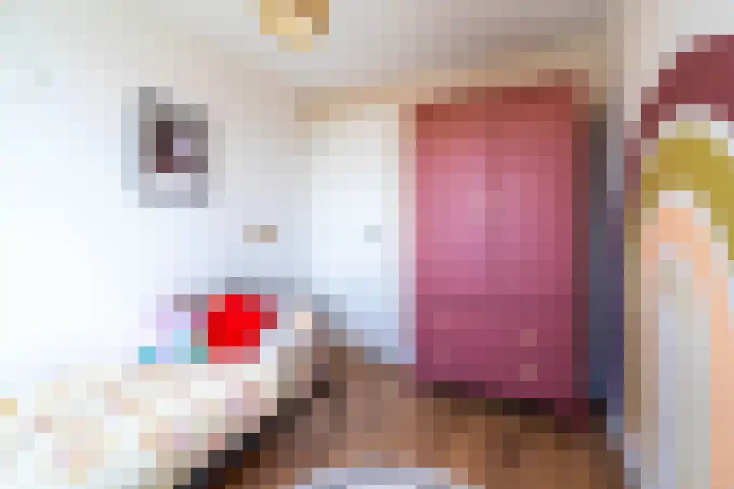 Eikstraat 19 Breda thumbnail 33