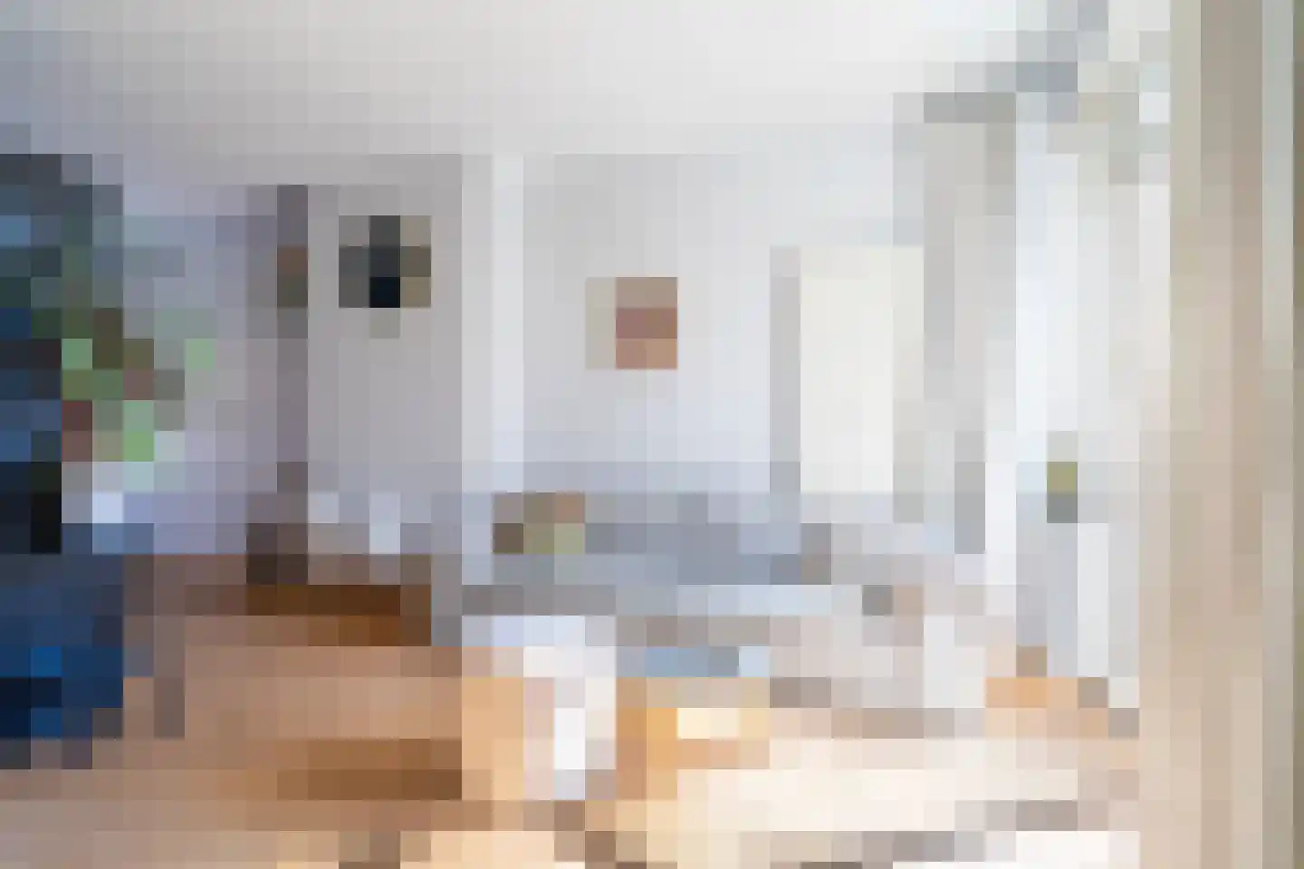 Eikstraat 19 Breda thumbnail 9