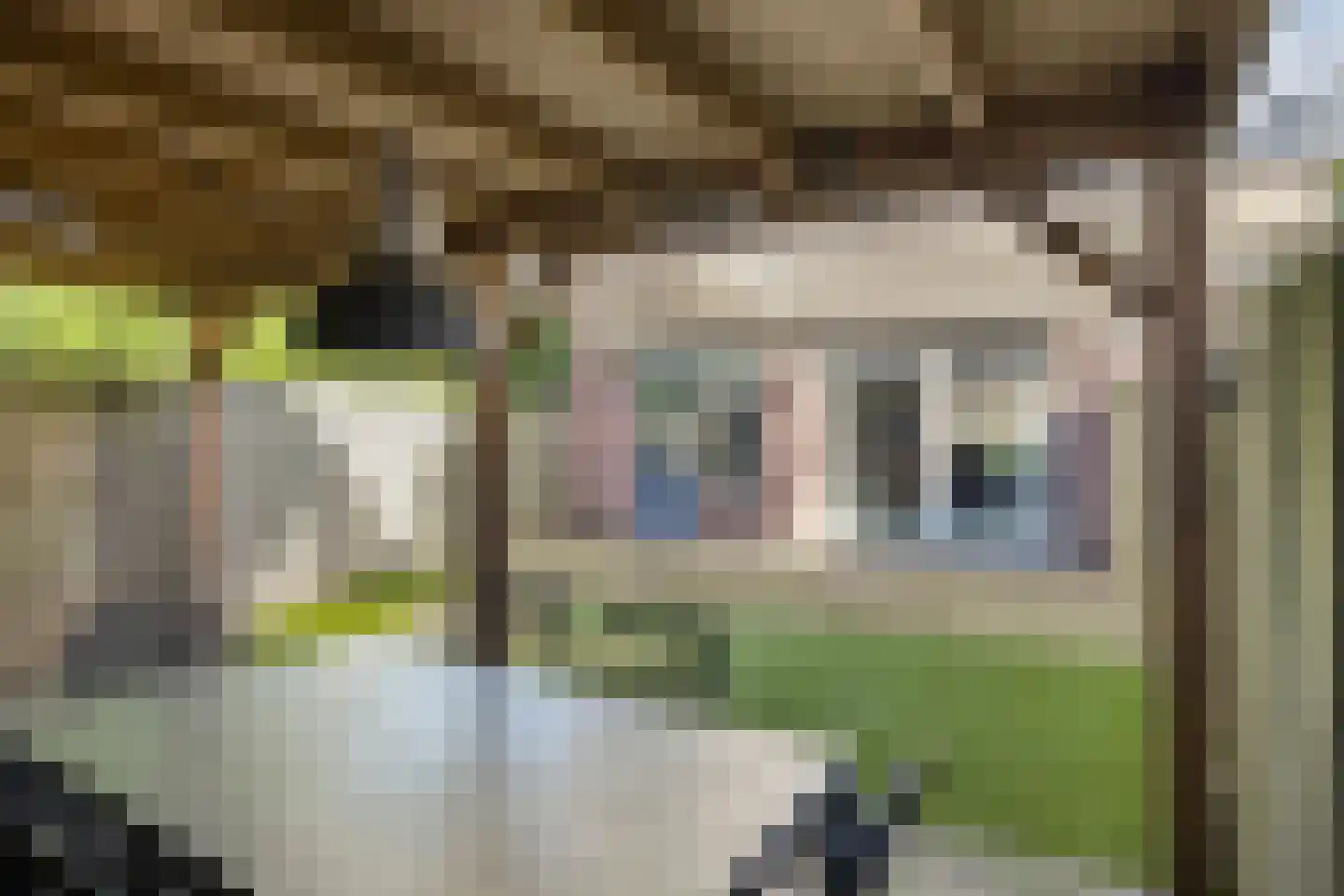 Eikstraat 19 Drunen thumbnail 34