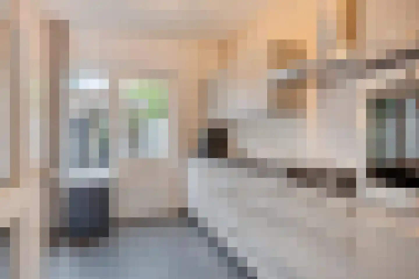 Eikstraat 19 Drunen thumbnail 8