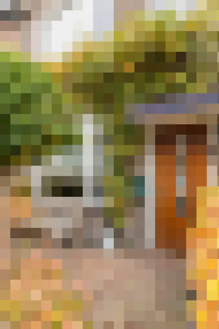Eikstraat 2 Breda thumbnail 11