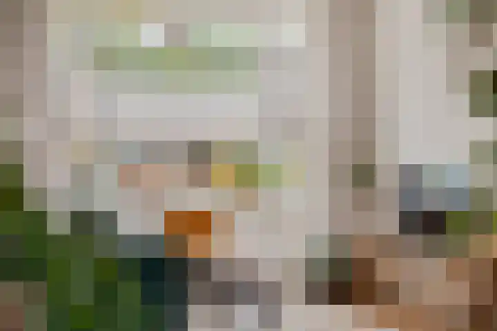 Eikstraat 2 Breda thumbnail 15