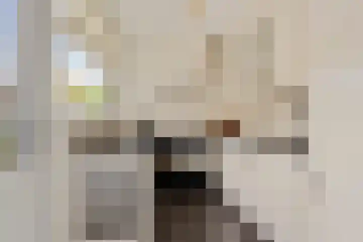 Eikstraat 2 Breda thumbnail 27