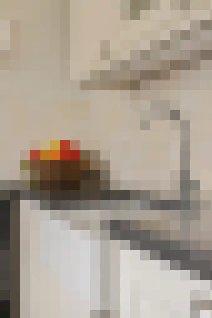 Eikstraat 2 Breda thumbnail 30