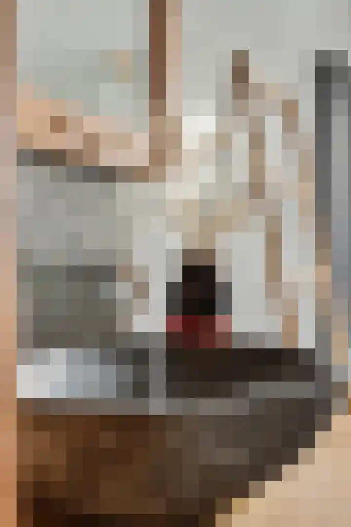 Eikstraat 2 Breda thumbnail 34
