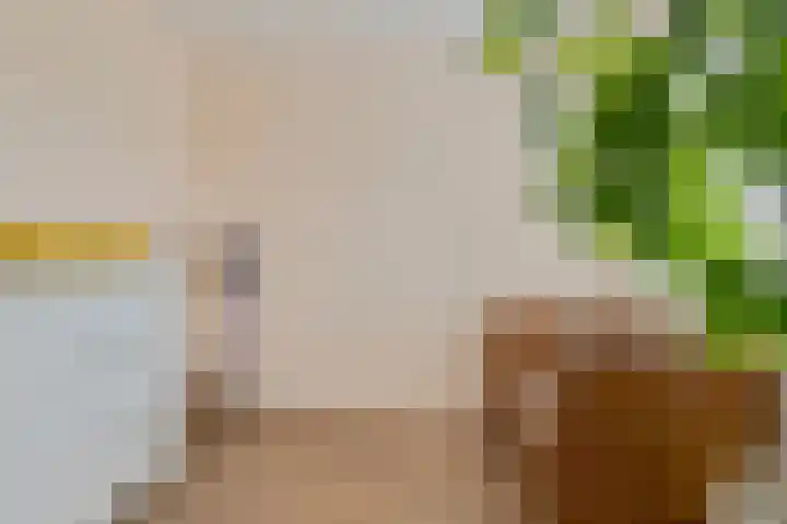 Eikstraat 2 Breda thumbnail 36