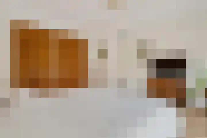 Eikstraat 2 Breda thumbnail 39