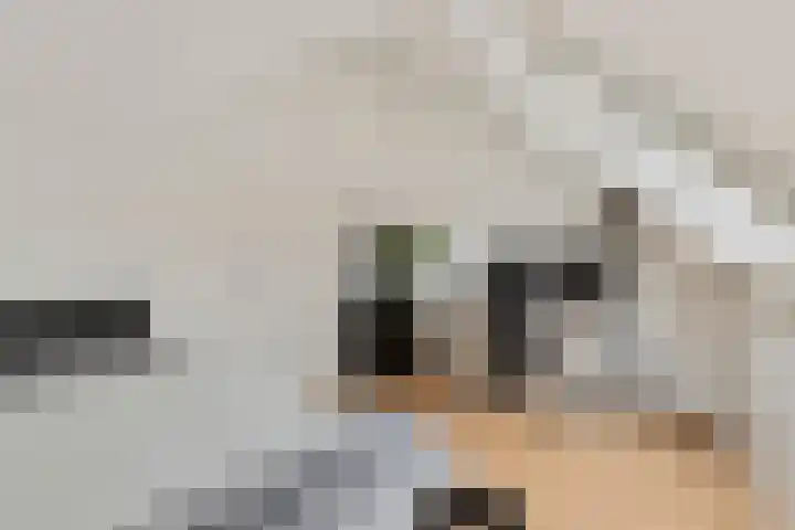 Eikstraat 2 Breda thumbnail 43