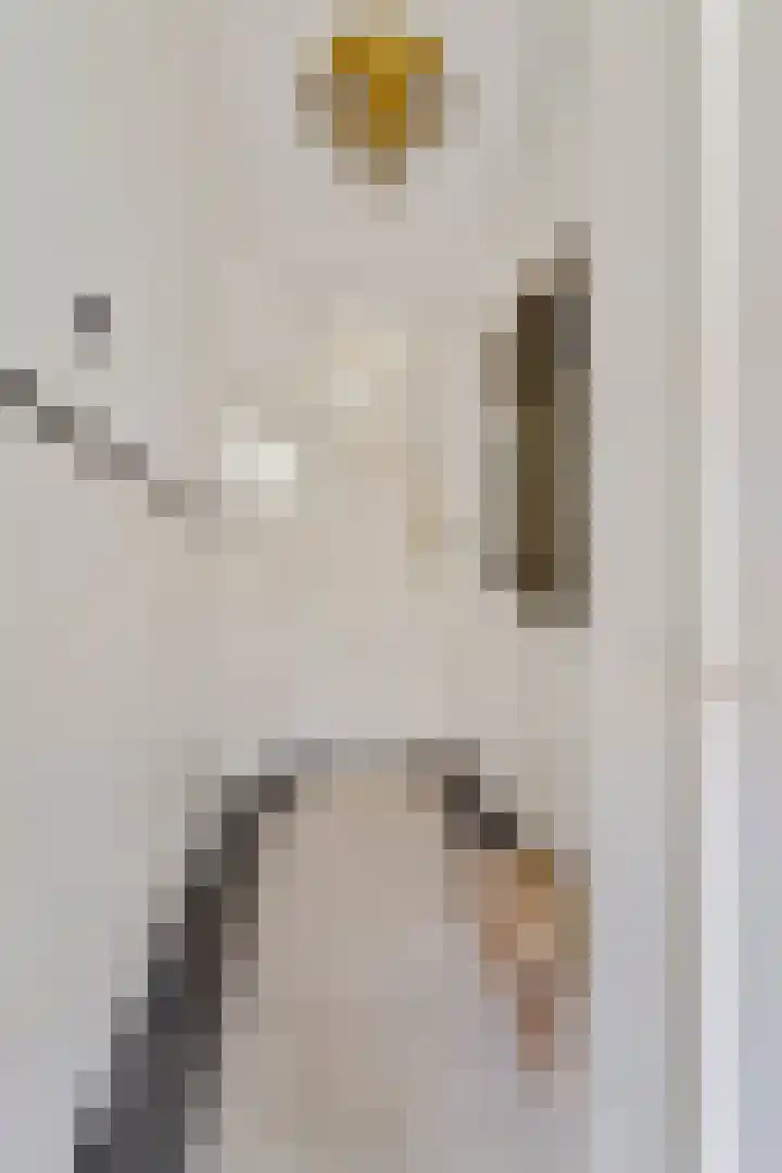 Eikstraat 2 Breda thumbnail 47