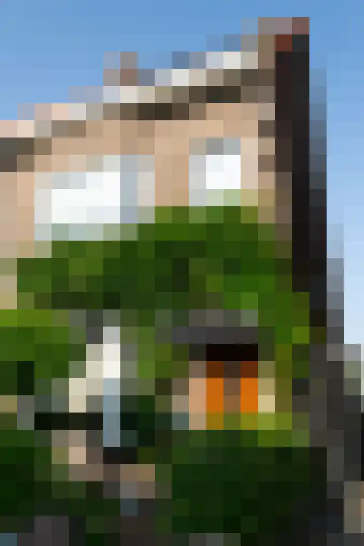 Eikstraat 2 Breda thumbnail 56