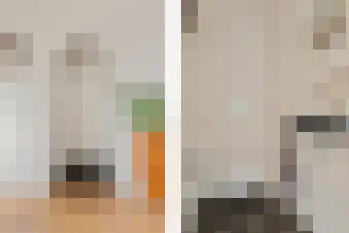 Eikstraat 2 Breda thumbnail 6