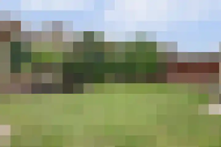Eikstraat 22 Drunen thumbnail 25
