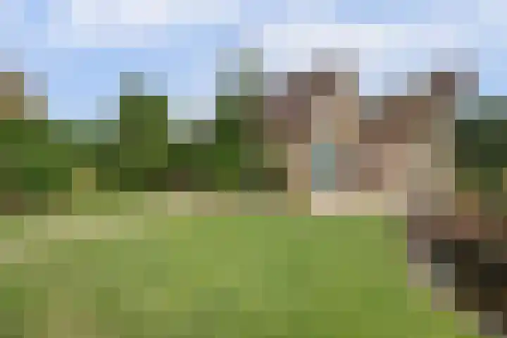 Eikstraat 22 Drunen thumbnail 26