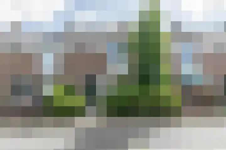 Eikstraat 23 Amersfoort thumbnail 36