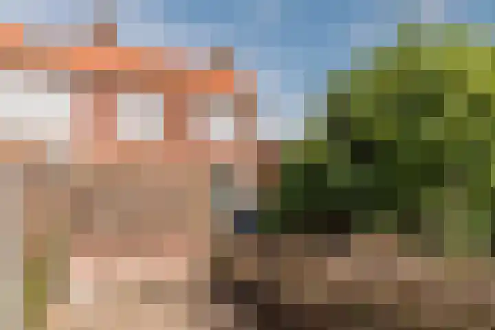 Eikstraat 26 Bergen op Zoom thumbnail 40