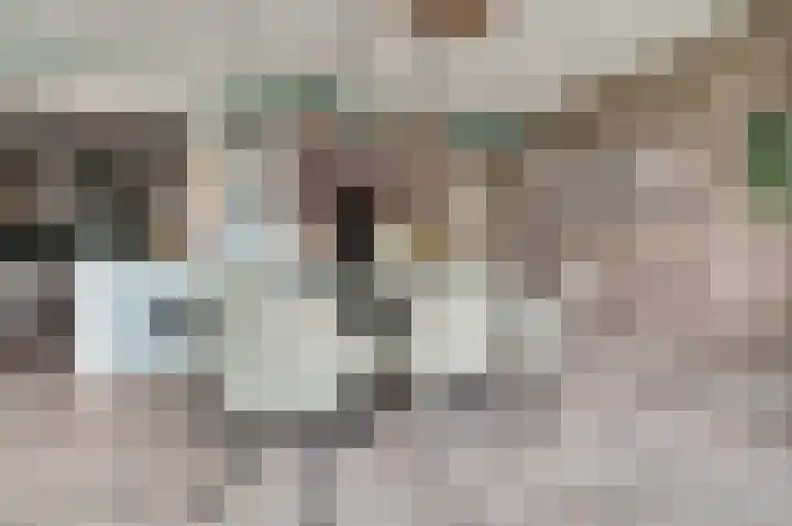 Eikstraat 26 Drunen thumbnail 12