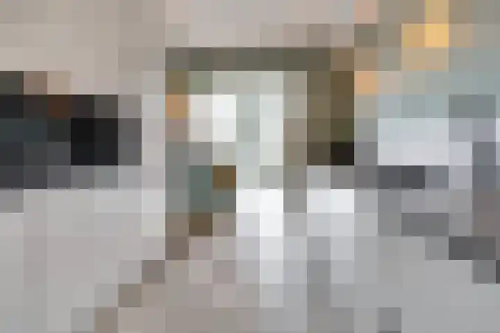 Eikstraat 26 Drunen thumbnail 15