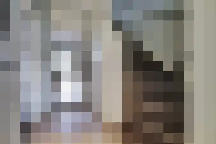 Eikstraat 26 Drunen thumbnail 26