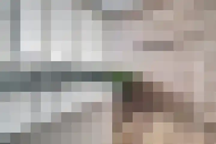 Eikstraat 26 Drunen thumbnail 33