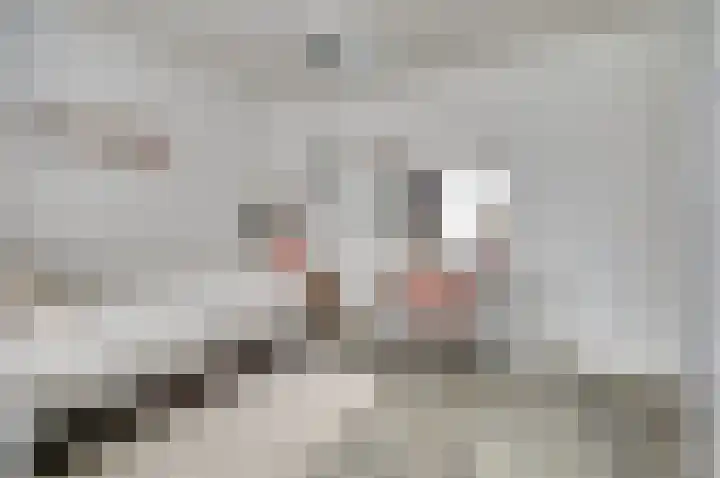 Eikstraat 26 Drunen thumbnail 37