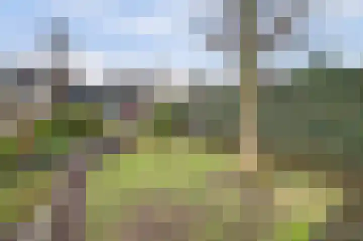 Eikstraat 26 Drunen thumbnail 51